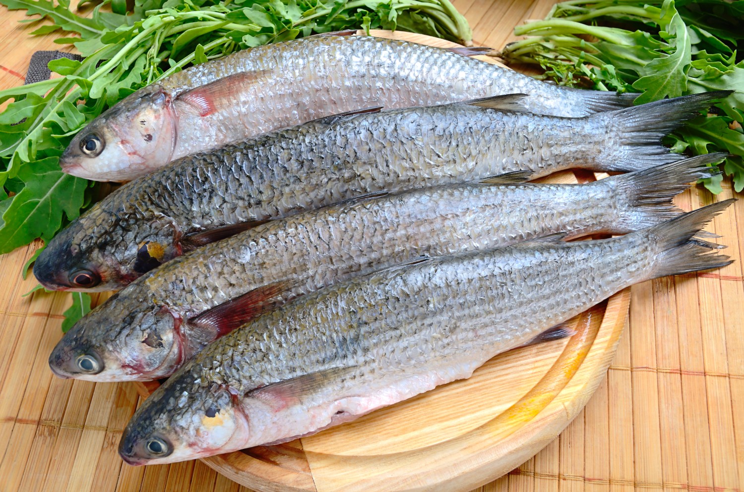 Peixes frescos